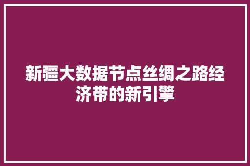 新疆大数据节点丝绸之路经济带的新引擎