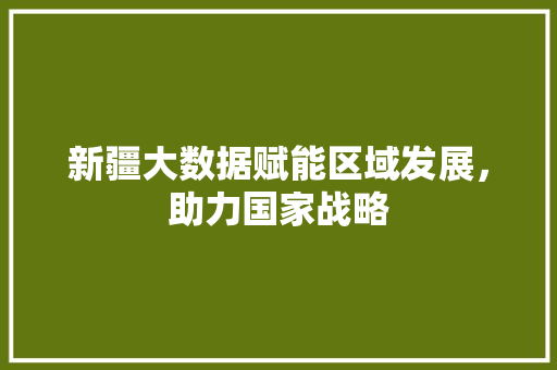 新疆大数据赋能区域发展，助力国家战略