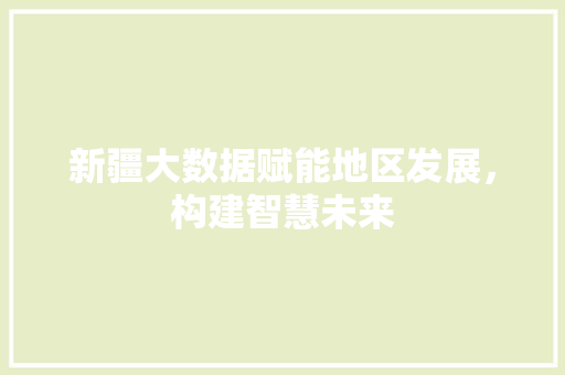 新疆大数据赋能地区发展，构建智慧未来