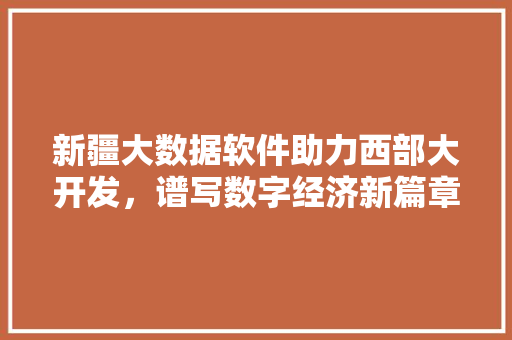 新疆大数据软件助力西部大开发，谱写数字经济新篇章