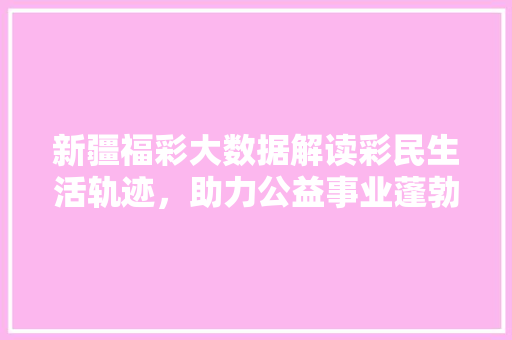 新疆福彩大数据解读彩民生活轨迹，助力公益事业蓬勃发展