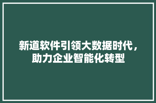 新道软件引领大数据时代，助力企业智能化转型