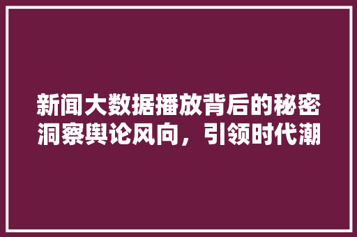 新闻大数据播放背后的秘密洞察舆论风向，引领时代潮流