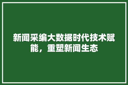 新闻采编大数据时代技术赋能，重塑新闻生态