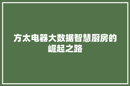 方太电器大数据智慧厨房的崛起之路