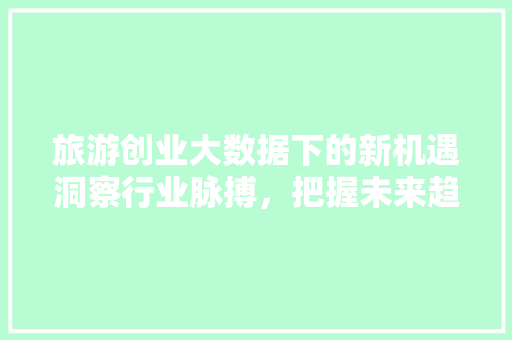 旅游创业大数据下的新机遇洞察行业脉搏，把握未来趋势