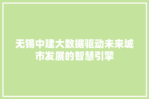 无锡中建大数据驱动未来城市发展的智慧引擎