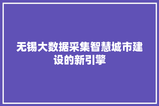无锡大数据采集智慧城市建设的新引擎