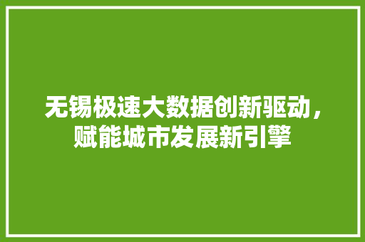 无锡极速大数据创新驱动，赋能城市发展新引擎