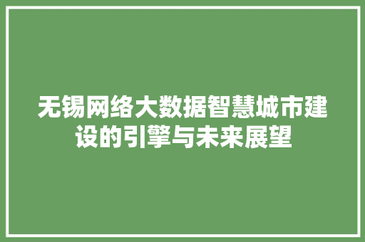 无锡网络大数据智慧城市建设的引擎与未来展望
