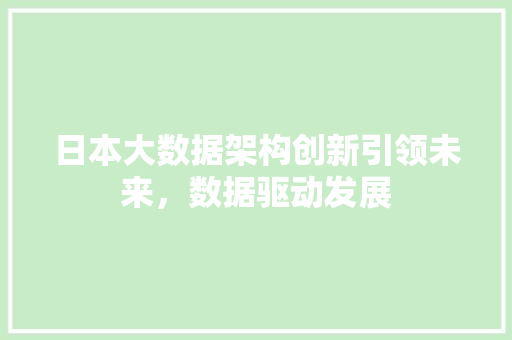 日本大数据架构创新引领未来，数据驱动发展