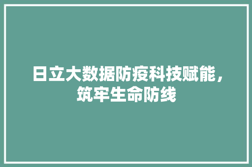 日立大数据防疫科技赋能，筑牢生命防线
