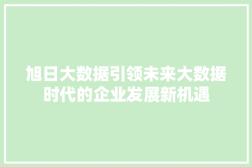 旭日大数据引领未来大数据时代的企业发展新机遇