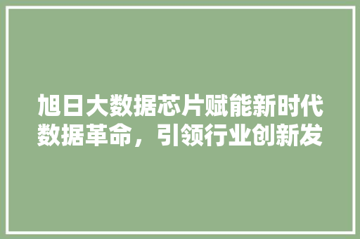 旭日大数据芯片赋能新时代数据革命，引领行业创新发展