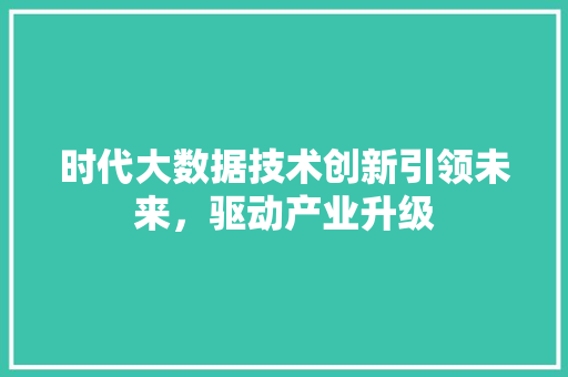 时代大数据技术创新引领未来，驱动产业升级 电脑基础