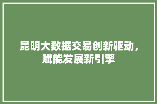 昆明大数据交易创新驱动，赋能发展新引擎