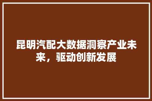 昆明汽配大数据洞察产业未来，驱动创新发展