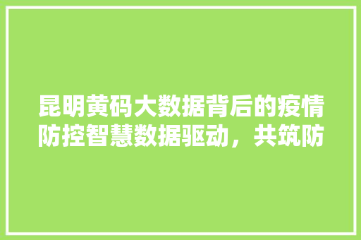 昆明黄码大数据背后的疫情防控智慧数据驱动，共筑防线