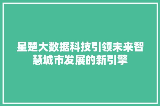 星楚大数据科技引领未来智慧城市发展的新引擎