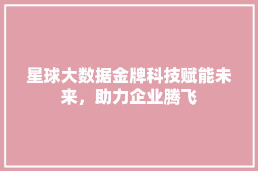 星球大数据金牌科技赋能未来，助力企业腾飞