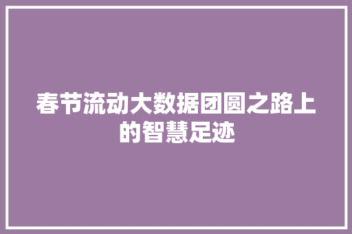 春节流动大数据团圆之路上的智慧足迹