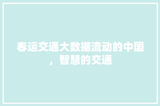 春运交通大数据流动的中国，智慧的交通