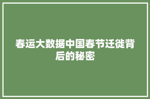 春运大数据中国春节迁徙背后的秘密