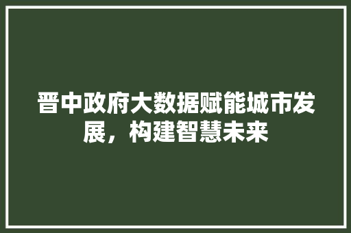 晋中政府大数据赋能城市发展，构建智慧未来 网络技术