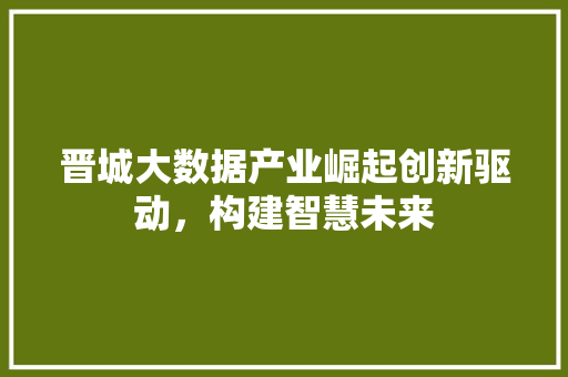 晋城大数据产业崛起创新驱动，构建智慧未来