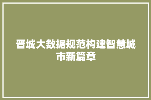晋城大数据规范构建智慧城市新篇章 网络技术