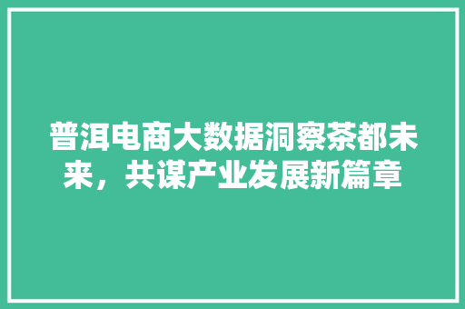 普洱电商大数据洞察茶都未来，共谋产业发展新篇章