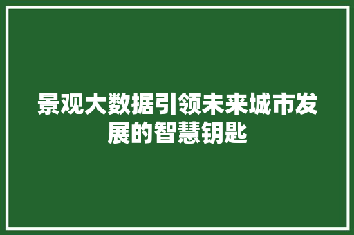 景观大数据引领未来城市发展的智慧钥匙
