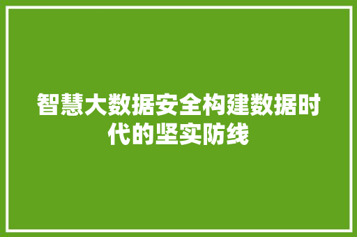 智慧大数据安全构建数据时代的坚实防线