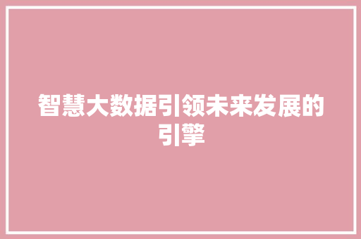 智慧大数据引领未来发展的引擎