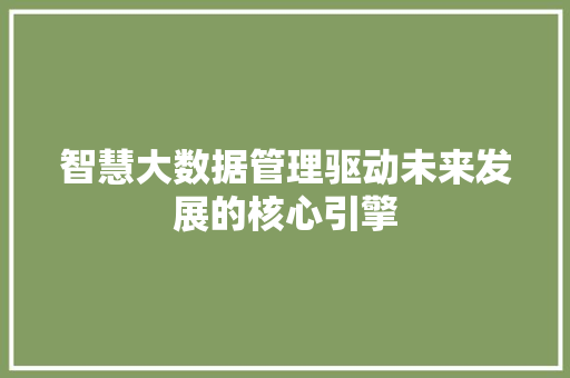 智慧大数据管理驱动未来发展的核心引擎