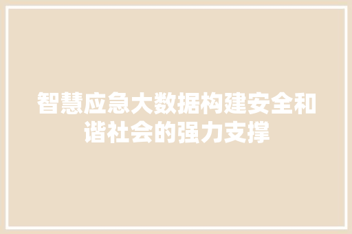 智慧应急大数据构建安全和谐社会的强力支撑