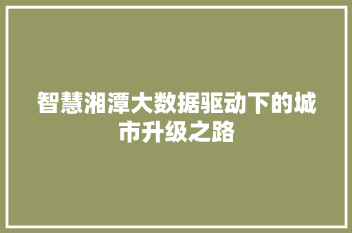 智慧湘潭大数据驱动下的城市升级之路
