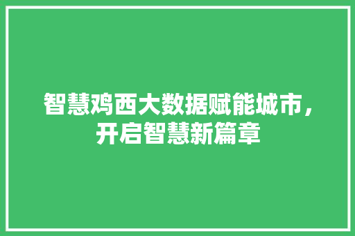 智慧鸡西大数据赋能城市，开启智慧新篇章