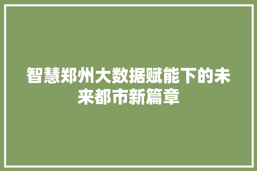智慧郑州大数据赋能下的未来都市新篇章