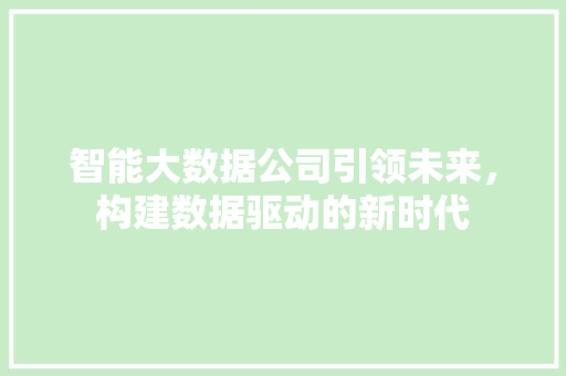 智能大数据公司引领未来，构建数据驱动的新时代