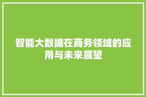 智能大数据在商务领域的应用与未来展望