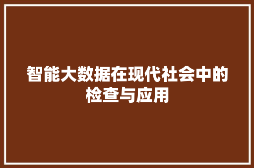 智能大数据在现代社会中的检查与应用