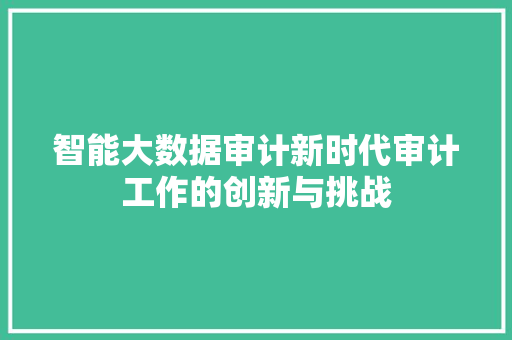 智能大数据审计新时代审计工作的创新与挑战