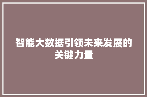 智能大数据引领未来发展的关键力量