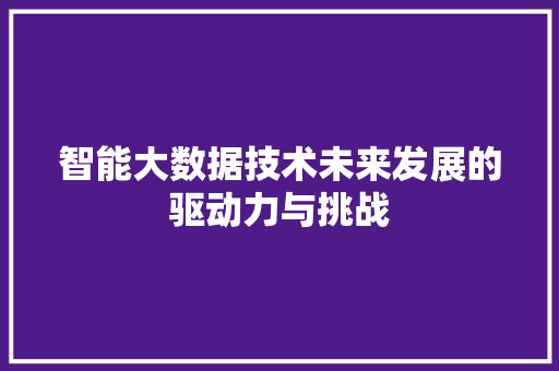 智能大数据技术未来发展的驱动力与挑战