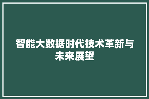 智能大数据时代技术革新与未来展望 智能大数据时代技术革新与未来展望