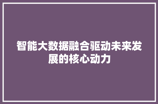 智能大数据融合驱动未来发展的核心动力