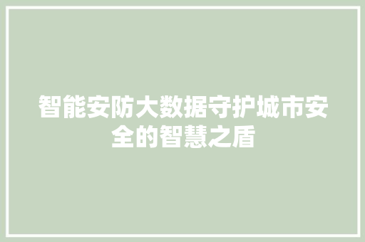 智能安防大数据守护城市安全的智慧之盾