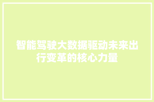 智能驾驶大数据驱动未来出行变革的核心力量