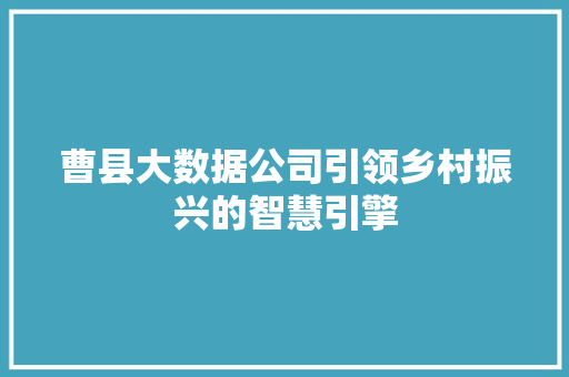 曹县大数据公司引领乡村振兴的智慧引擎
